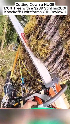 #guiltyoftreeson #woodworking #treework #chainsaw #vlog