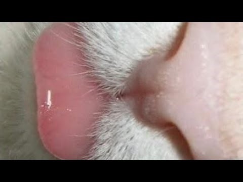 Tapping on random items🧸 - ASMR🍓