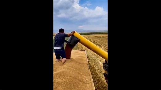 Satisfying Factory Processes