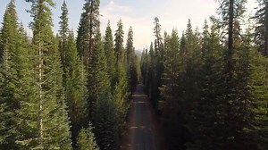 Glaciated peaks and breathtaking panoramas fill the horizon on this 100-mile stretch. | Visit California