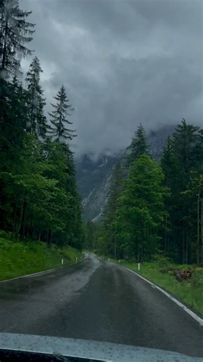 Magical Twilight Tree Scene in the Rain