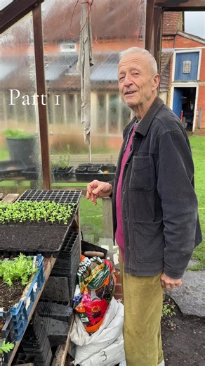 Understanding Potting Mix and Seed Preparation