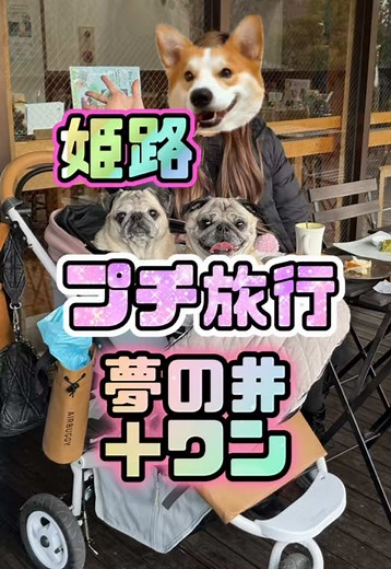 姫路の魅力を楽しむ日常Vlog
