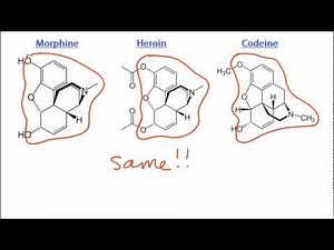 D3 Comparison of the structures of morphine, codeine and diamorphine (heroin) [SL IB Chemistry]
