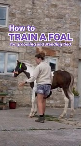 18K views · 324 reactions | Foal training can start young and be fun...
