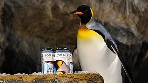 26K views · 1.1K reactions | Stephen and the rest of the king...