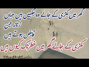 #spider web sign of female jinn"