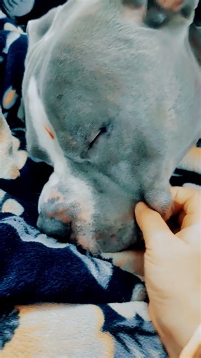 so cute ❤️my bacha ❤️ Ummah 💋