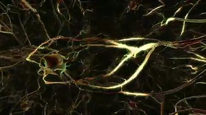 重塑超我（1000Hz）