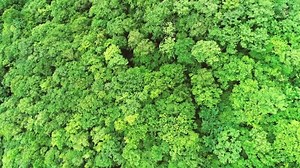 5.6K views | Discover gaps and opportunities with an aggregated approach to viewing your wealth. Manage your desired asset allocation across asset classes, geographies, or currencies in a single location. Find out more: bit.ly/3H29B2T | Credit Suisse | Facebook