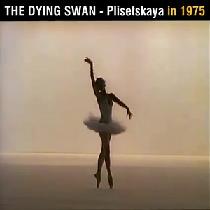 THE DYING SWAN - Maya Plisetskaya in 1975. #RussianBallet #RussianCulture | Russian Australian Cultural Centre - Vera
