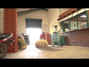 El proceso del fique