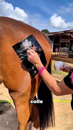 His horse shines in the race thanks to this trick!