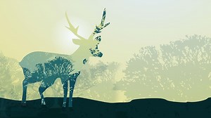 Relax 8 Hours-Relaxing Nature Sounds-Study-Sleep-Meditation-Water Sounds-Bird Song