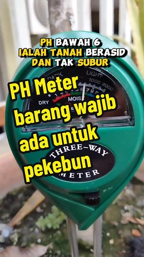 Cara Cek PH Tanah untuk Tanaman Sukses