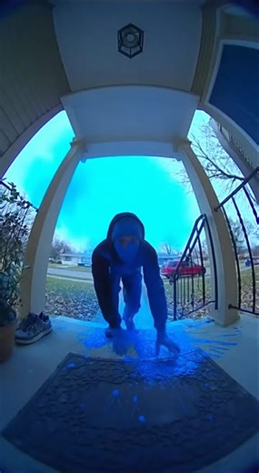 Porch Heist Trap That Went Too Far? #shorts