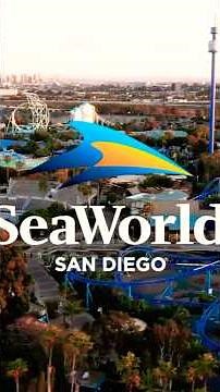 Orca Encounter-San Diego SeaWorld 2026 |#seaworld #sandiego #orca