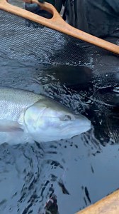 13K views · 312 reactions | Look at this awesome fish caught by Colt a few weeks back!! Reverse nightmare Addicted Worm for the win. | Addicted Fishing | Facebook