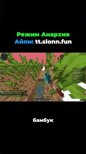 Anarchy Server 1.16.5 #minecraft