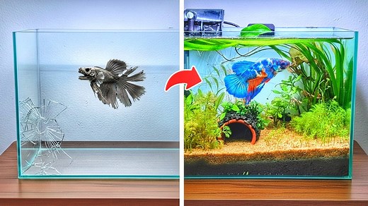 1.3M views · 27K reactions | Built Thor’s dream tank under ₹1000! ...