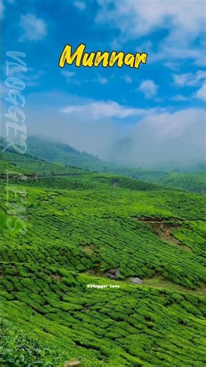 Best Honeymoon Destination in India || Munnar || Kerala #cultureexchange