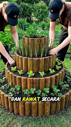 aesthetic raised bed for planting in narrow land #organicfarming #agriculture