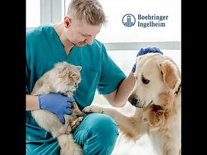 Updates on Insulin Therapies in Dogs and Cats