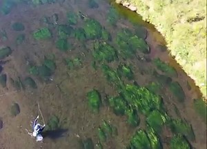 When you cast a mouse pattern in Kamchatka, the trout will fight over who gets to eat it. Sweet clip from The Best of Kamchatka. | Orvis Fly Fishing
