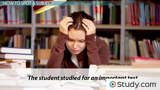 Subject Noun | Overview, Definition & Examples