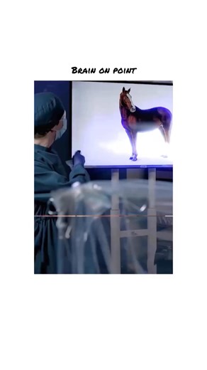 Muffinview on Instagram: "The Good Doctor is a medical drama that follows Dr. Shaun Murphy, a young and exceptionally gifted surgeon with autism and savant syndrome, as he begins his career at San Jose St. Bonaventure Hospital. Despite his remarkable ability to visualize complex medical problems and diagnose rare conditions, Shaun struggles with communication and social interaction, leading many of his colleagues to doubt his place in the operating room. Each episode blends intense medical cases