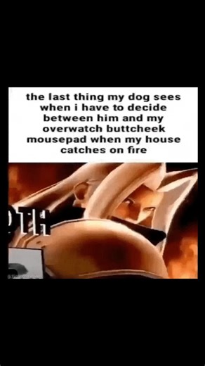 it was a tough choice really 😢 RIP Scooter 🙏 it really is that shrimple (see my previous post) Alright, let’s get one thing straight: the dilemma of saving a dog versus a mousepad in a house fire should not even be a dilemma! I mean, we're talking about a living, breathing, loyal creature versus a piece of rubber and fabric. Picture this: your house is ablaze, flames licking at the walls, smoke filling the air. In one corner, you've got your faithful canine companion, the one who greets you wi
