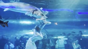 Un poisson géant avale une « sirène » dans un aquarium, sous le regard horrifié du public