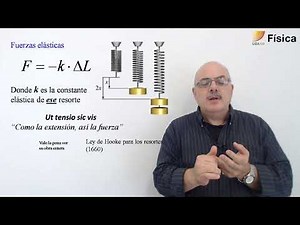 20. Física. Dinámica fuerzas elásticas