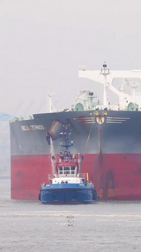 38K views · 981 reactions | Arrive Monster⚓ Sea screen #ship #sea_screen #lifeonship #sealife | Sea screen | Facebook