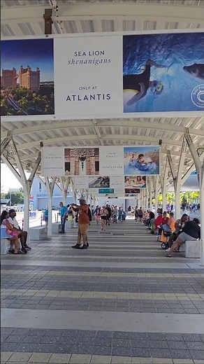 Royal Caribbean Bahamas Cruise