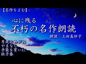 【癒しの朗読】心に残る不朽の名作【名作文学】文豪の代表作をプロ声優の朗読でお届け 「月夜とめがね」他