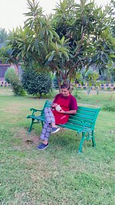 874K views · 8.2K reactions | Tiffins should always be simple yet tasty  Egg sandwich INGREDIENTS: Boiled eggs 3no. Bread slices 4no. Black pepper powder 1/4tsp Salt to taste Chopped coriander leaves 1tblsp Butter 2tblsp (to spread on bread slices) Lemon juice 2tsp #chefyaseen #eggsandwich #besttiffin #bestfood #healthyfood #eatgood #simplefood #eggsnacks | Chef Yaseen | Facebook