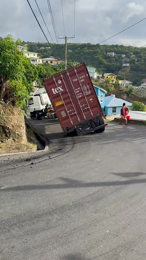 1.9K reactions · 401 shares | Canaries Flora, Villa | Kert John | Facebook