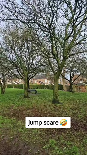 A Classic Throwback: Funniest Moments with Amazon Parrots