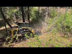 ASV RT75 with Fecon Bull Hog - Fire Prevention