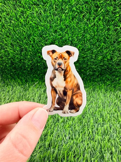 American Staffy Dog Sticker - Etsy