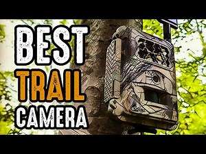 5 Best Trail Camera for Wildlife Monitoring