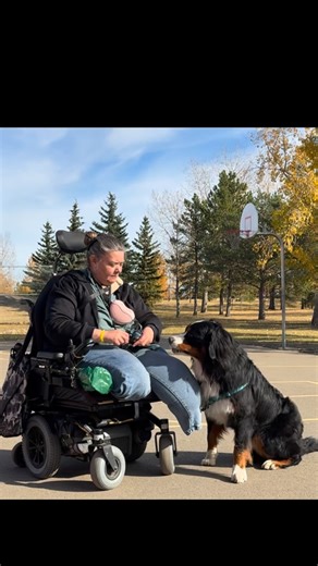 It’s been a couple months of work, but the Level 1 Paw Pack Training course launches on November 1! It has everything you need to get your dog ready to have success! Keep your eyes peeled!!!! (Our newsletter on Sunday will have early access!) @servicerotties | Bunsen Berner