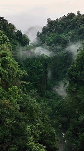 13 reactions | One of Earth’s most biodiverse regions is under threat...