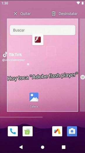 Probando Virus: Parte 93 con Adobe Flash Player