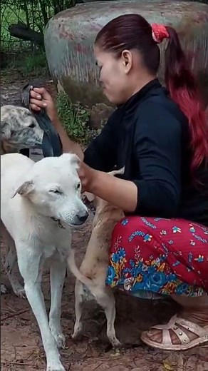 Dog licking owner's mouth