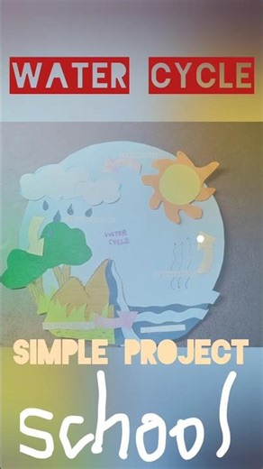 Water Cycle #project #schoolproject #science #class3 #cambridge #homeschooling #shorts #education