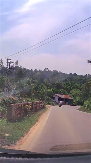 Coorg Local Roads and Nature Drives | Part 6 | Dashcam Highlight #Shorts