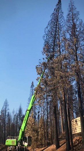 The Sennebogen 738 is the world’s only tree care handler with a reach of 75 feet 🏆 This beast is our arsenal’s most powerful asset — more reach means smalller tops means more control. Smarter, safer, faster. 🌲💪 #sennebogen738 #heavyequipment #bestinthebusiness #treework #sennebogen #reach #innovation #wow #treeservice #treeremoval | Sennebogen Tree Care Division
