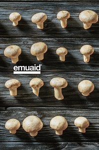 662K views · 4.2K reactions | Nail Fungus can be persistent and hard...